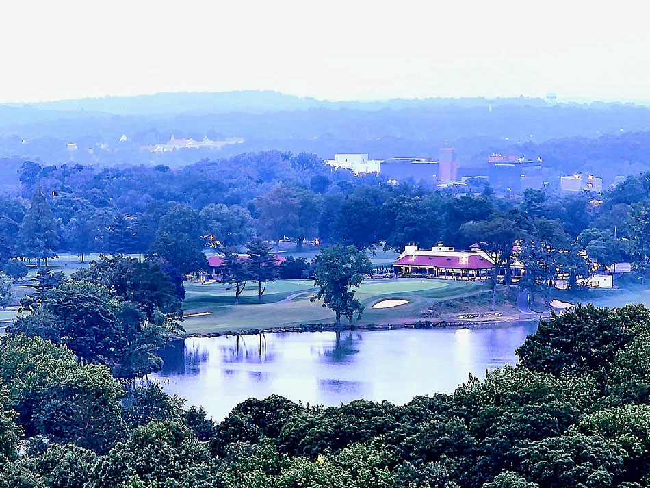 Lake Success View